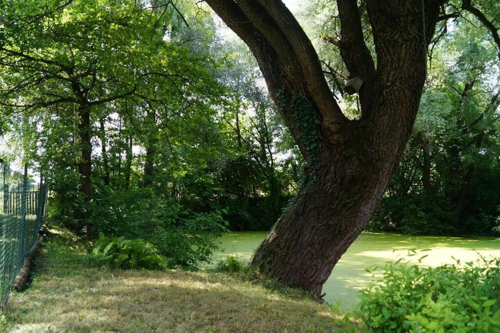 Idylisches Cottage Mit Reh Worthsee Bagian luar foto